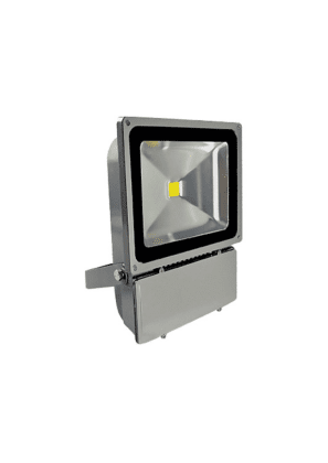 Premium Led Floodlight 100W Daylight