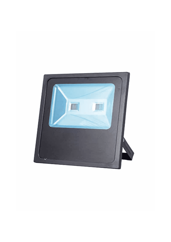 Deluxe Led Floodlight 100W Daylight
